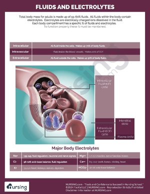 Fluid and Electrolytes.pdf