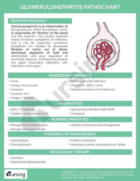 File:Glomerulonephritis Pathochart.pdf