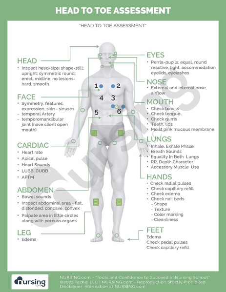 File:Head to Toe Assessment.pdf