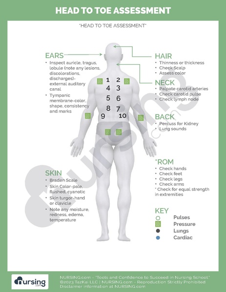 File:Head to Toe Assessment.pdf