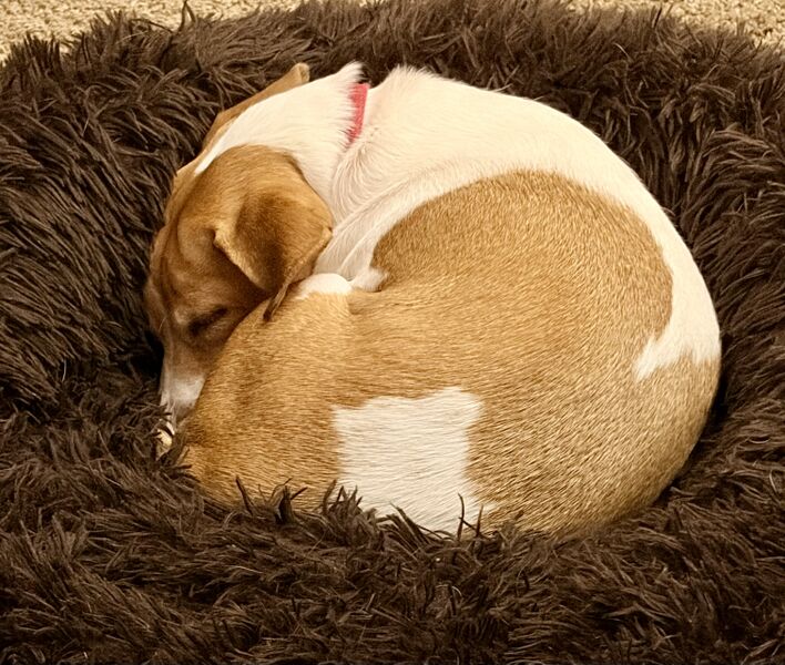 File:Highlight 1 1768344702.jpg