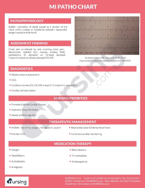 File:MI Pathochart.pdf