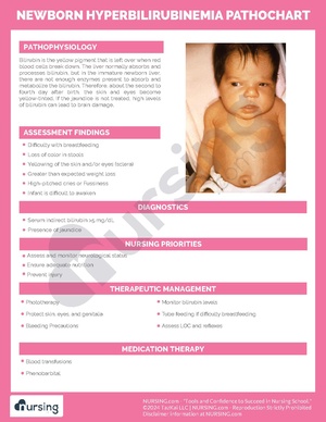 Newborn Hyperbilirubinemia Pathochart.pdf