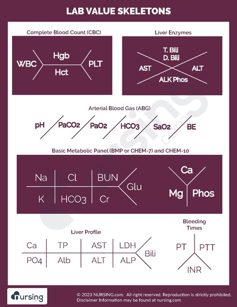 File:Nursing Lab Value Skeleton.pdf