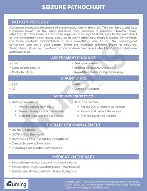 Seizure Pathochart.pdf