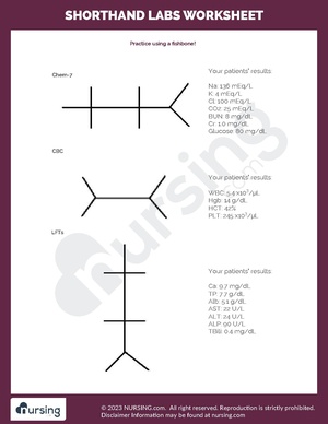 Shorthand Labs Worksheet.pdf