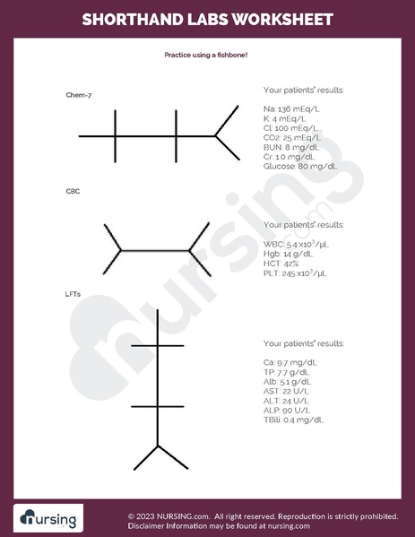 File:Shorthand Labs Worksheet.pdf